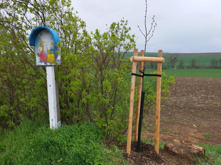 Péče o zeleň